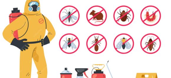 Cambrian park bed bug treatment