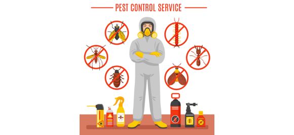 San Jose exterminator