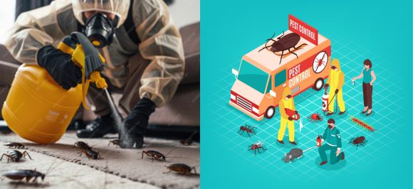 Morgan Hill pest control