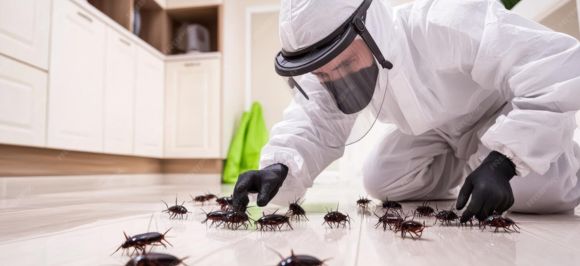 Los Gatos commercial pest service