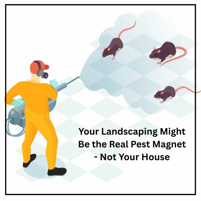 Cupertino pest control