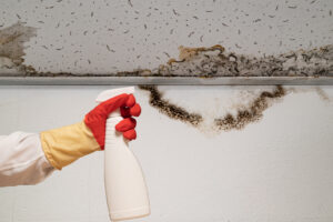 Cockroach exterminator