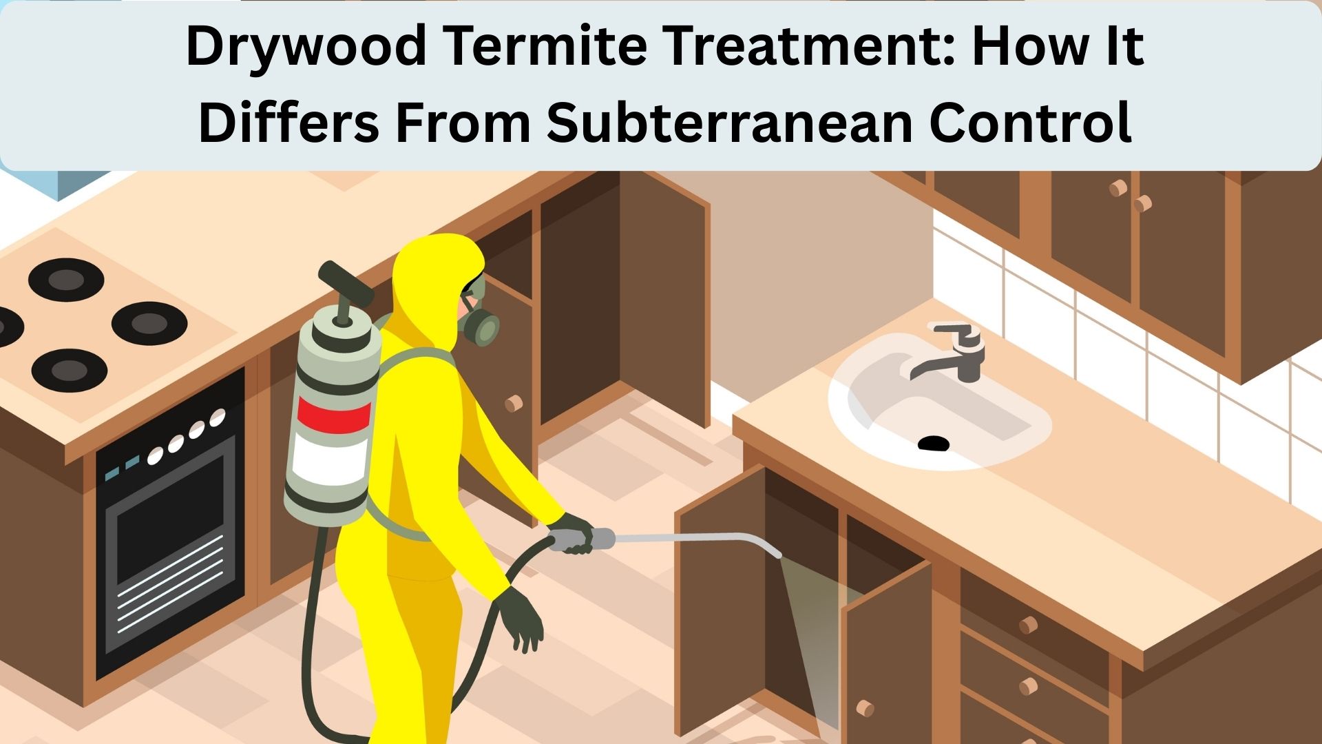 Termite treatments experts in California