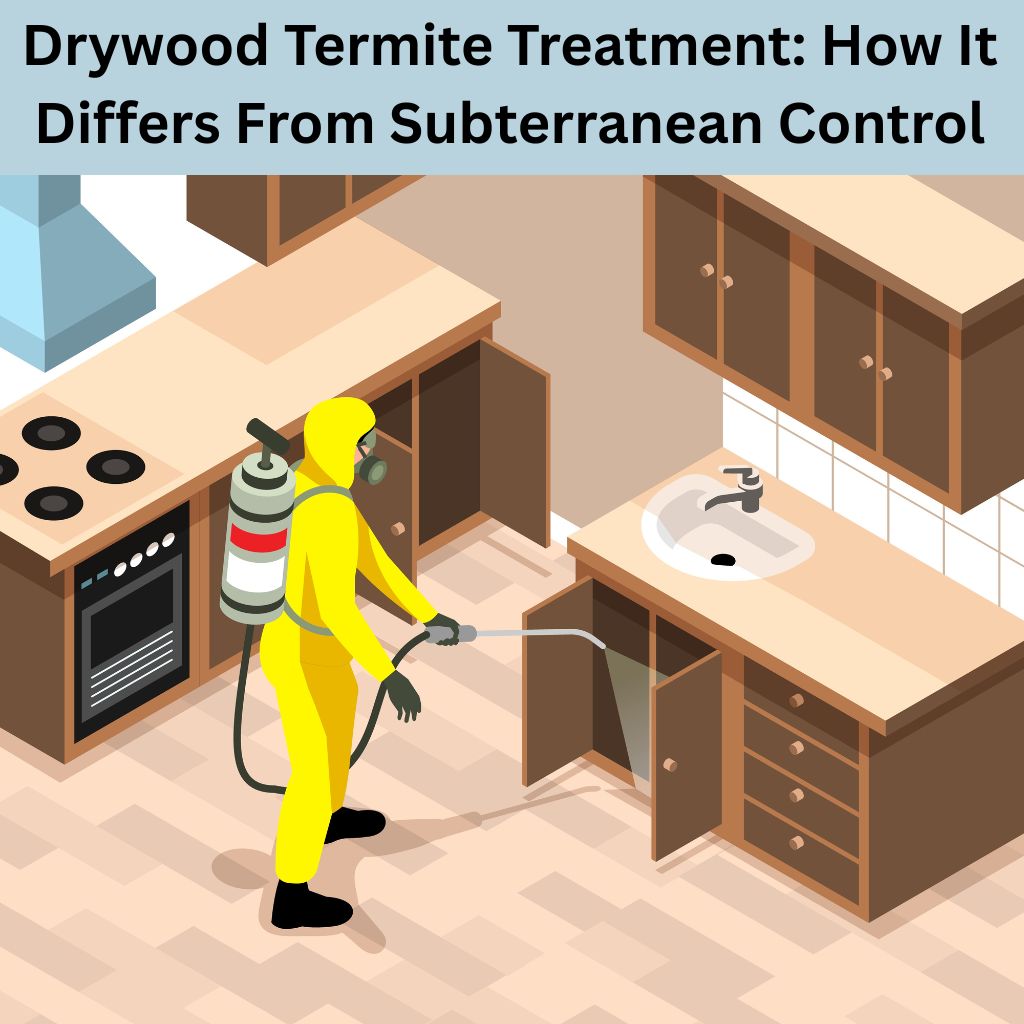 drywood termite treatment in California