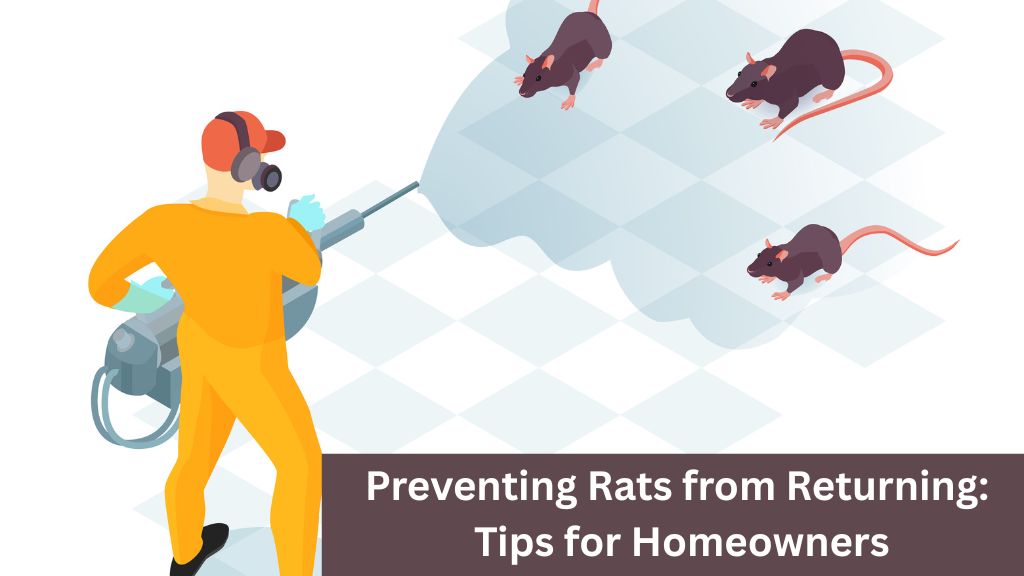Emergency rat removal services San Jose