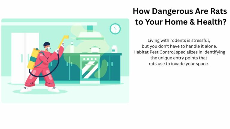 Rat pest control service in San Jose