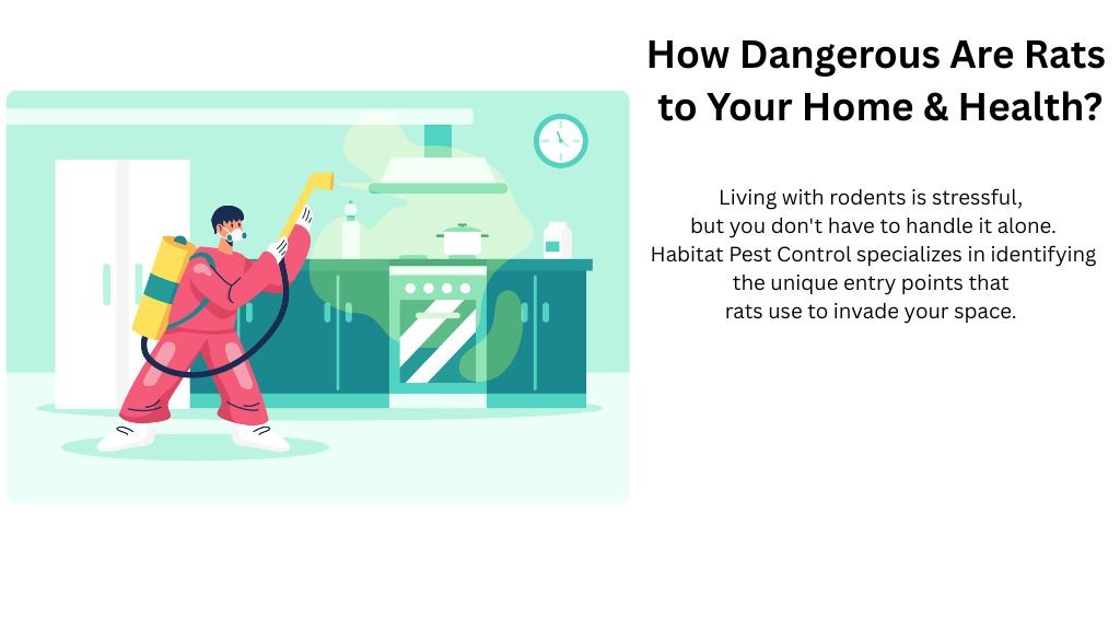 Rat pest control service in San Jose