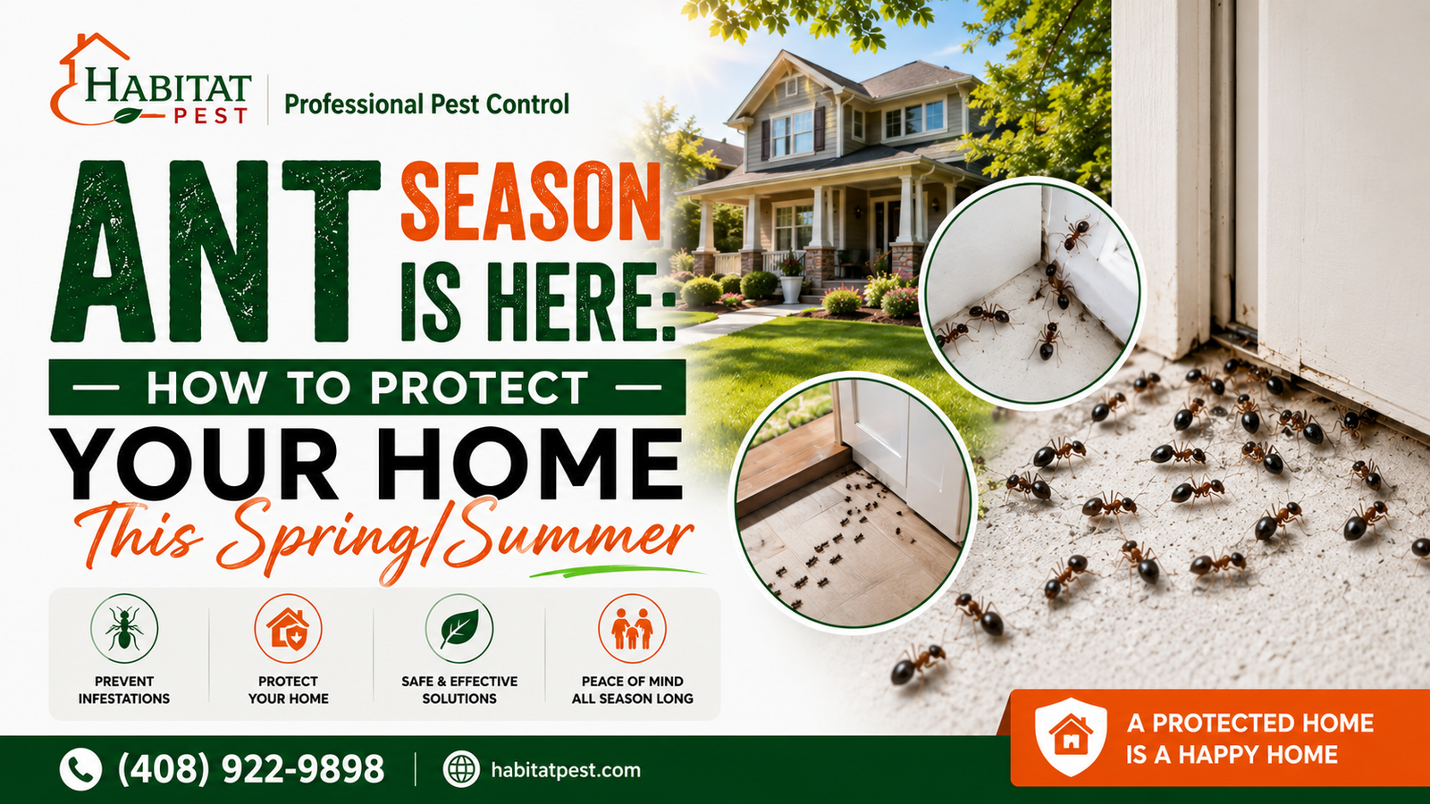 Ant control service in San Jose, CA
