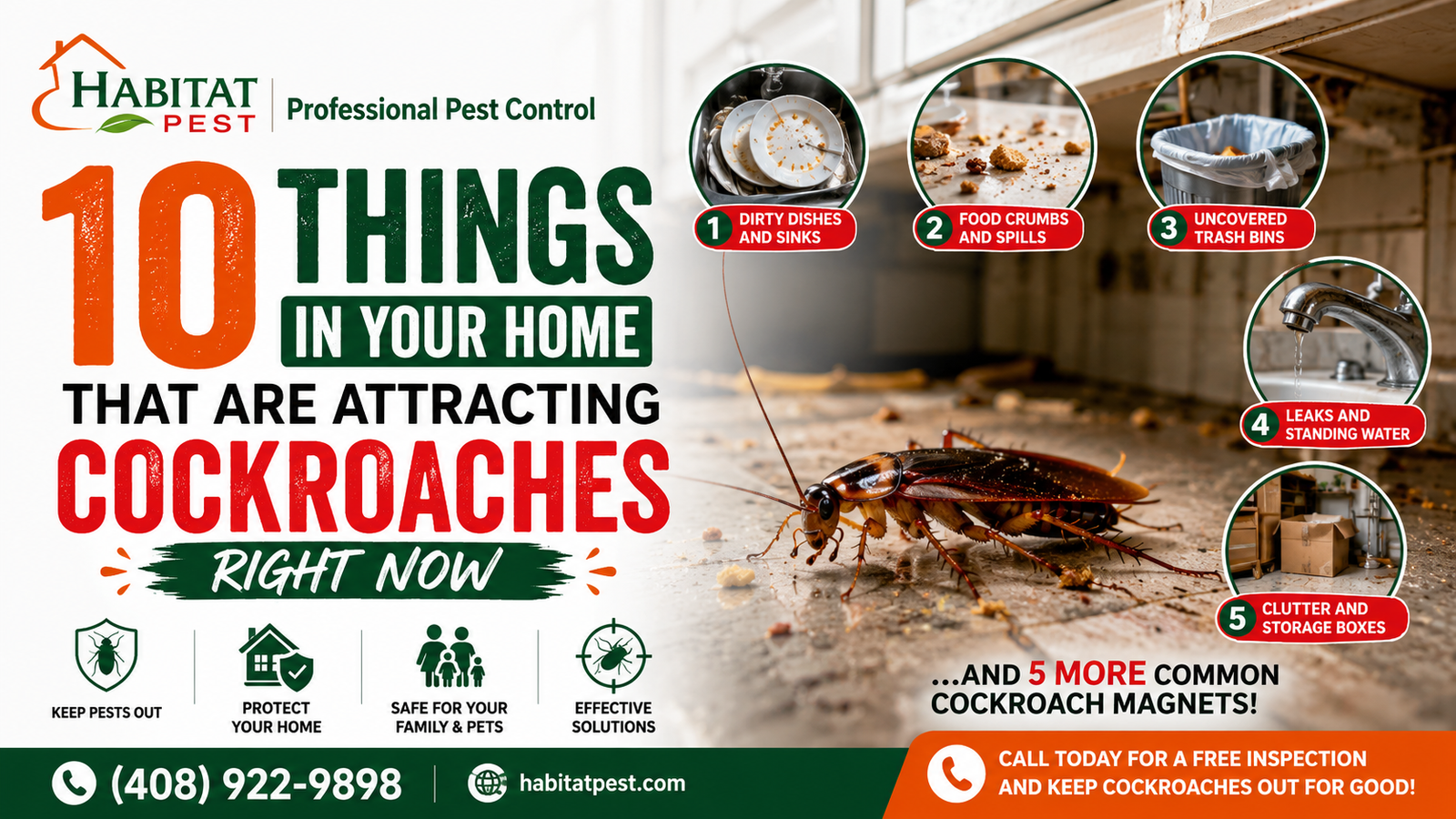 Cockroach exterminator in Palo Alto