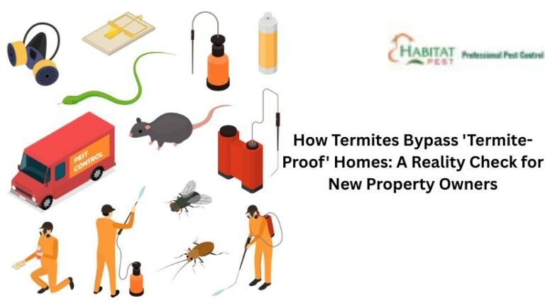 Termite treatment in Mountain view