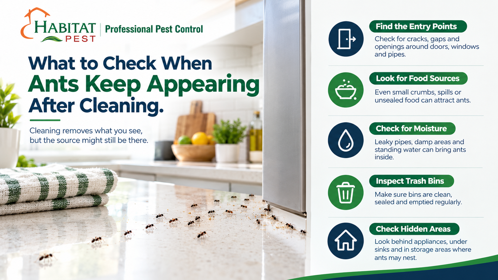 Pest control service